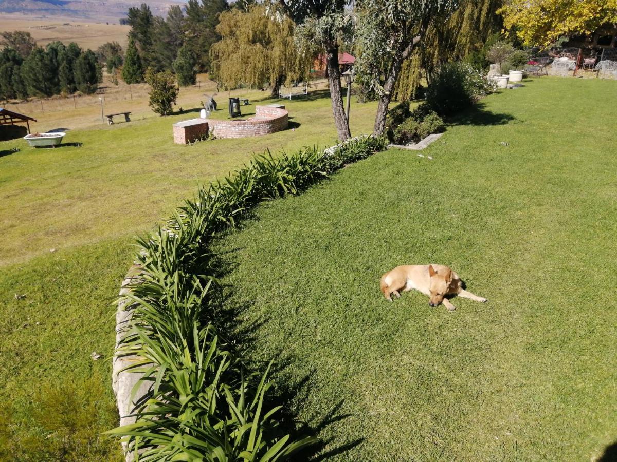מלון פורייסבורג The Fat Mulberry Guest Farm מראה חיצוני תמונה
