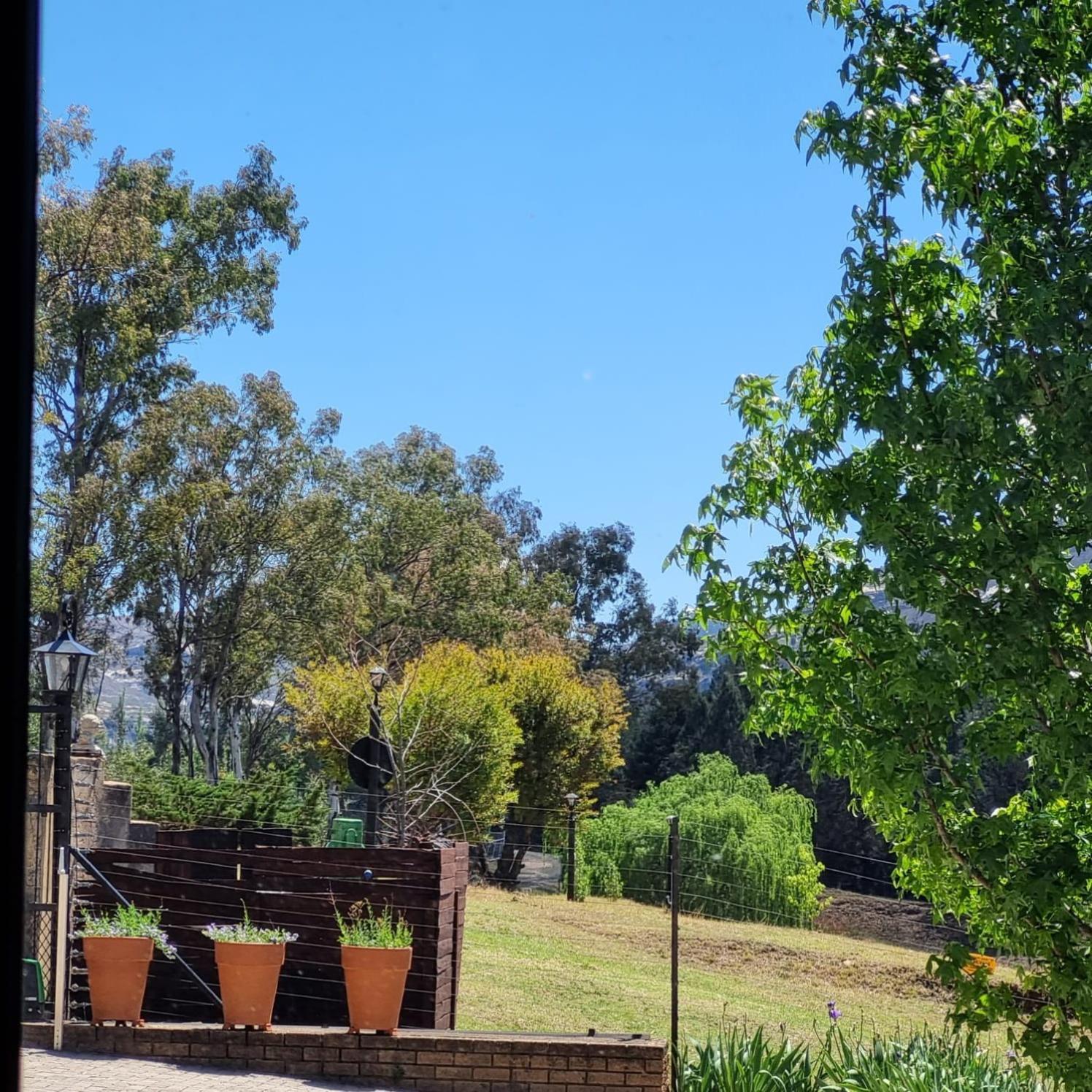 מלון פורייסבורג The Fat Mulberry Guest Farm מראה חיצוני תמונה