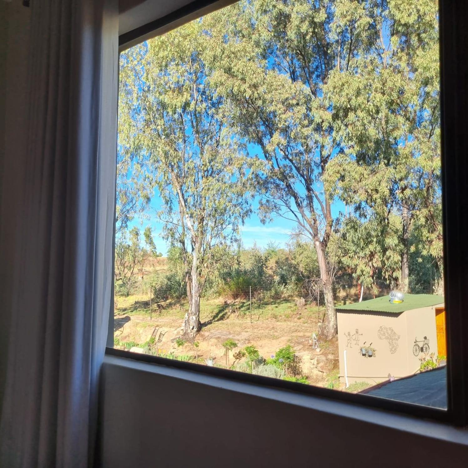 מלון פורייסבורג The Fat Mulberry Guest Farm מראה חיצוני תמונה